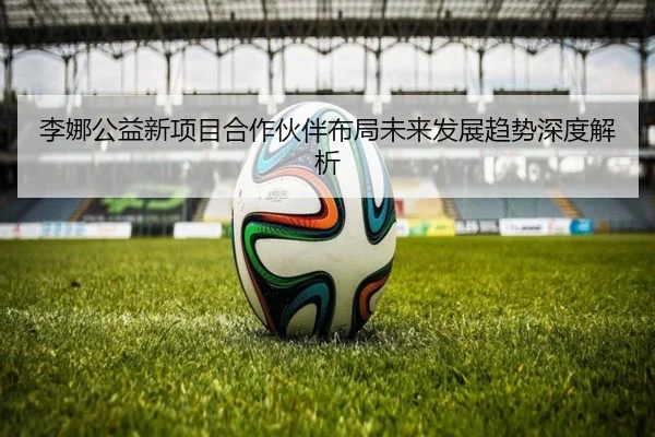 李娜公益新项目合作伙伴布局未来发展趋势深度解析